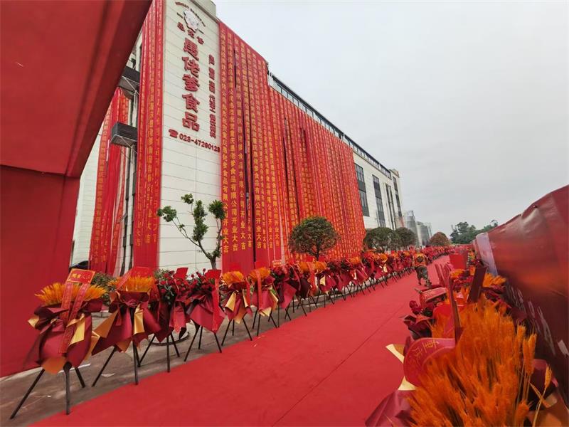 重庆愚佬爹食品